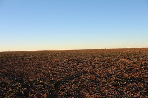 TRACT 1 - REAL ESTATE & MINERAL AUCTION - 640+/- ACRES & PRODUCING MINERALS OFFERED IN 8 TRACTS IN MORTON COUNTY, KANSAS